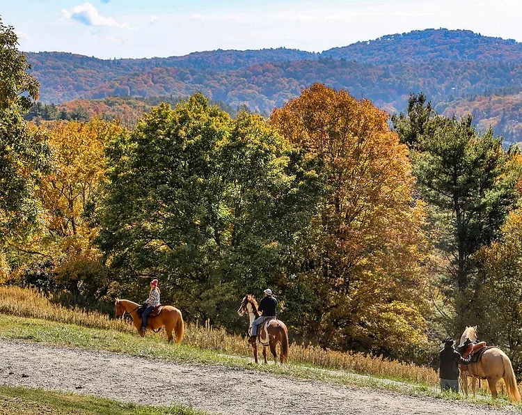 BLOWING ROCK TRAIL RIDES